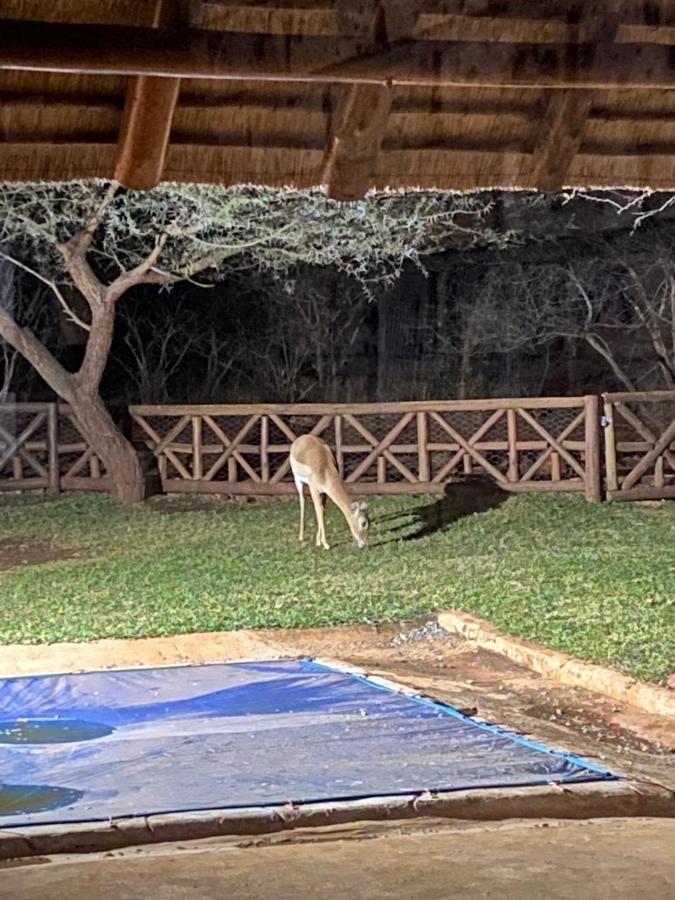 Genet House Holiday Home Marloth Park Luaran gambar