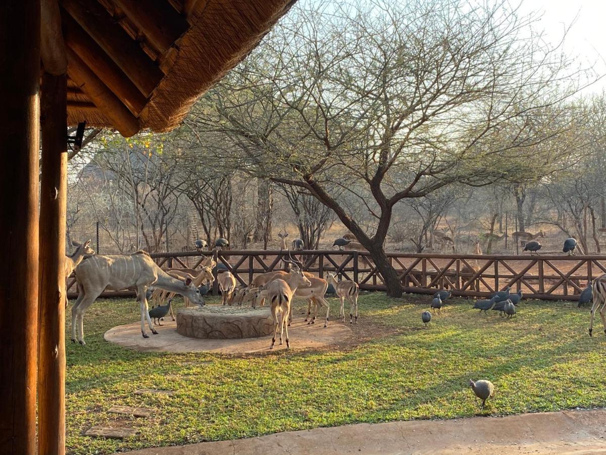 Genet House Holiday Home Marloth Park Luaran gambar