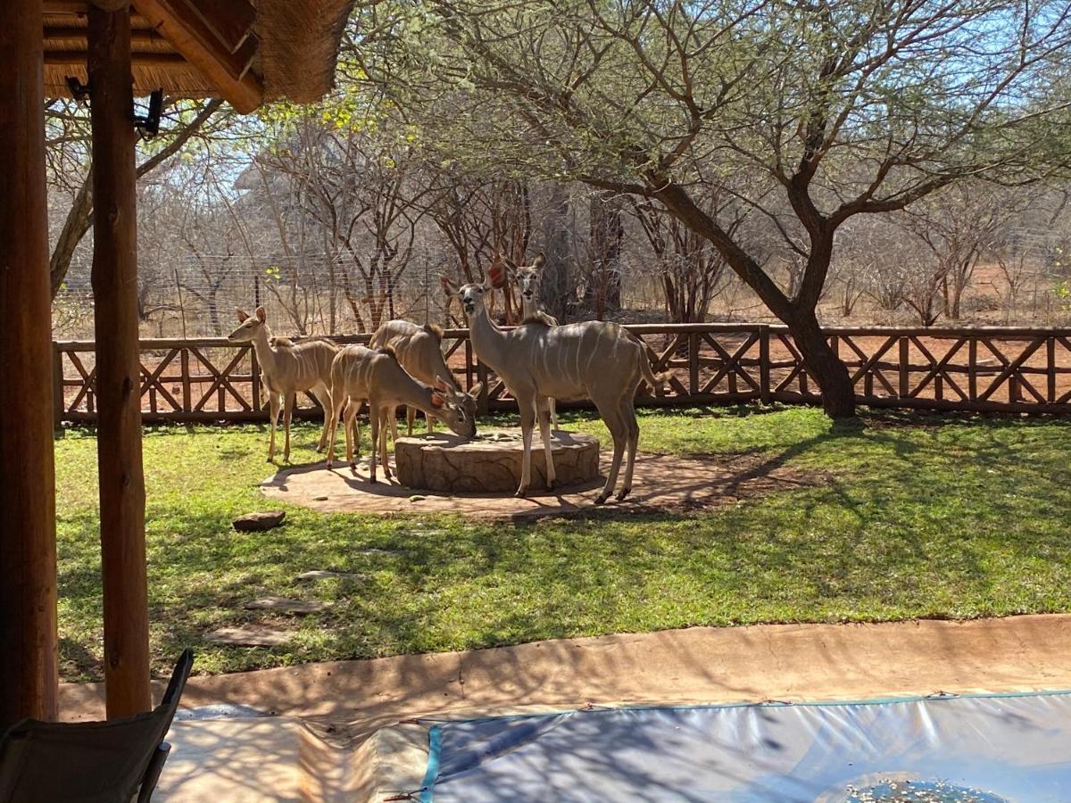Genet House Holiday Home Marloth Park Luaran gambar