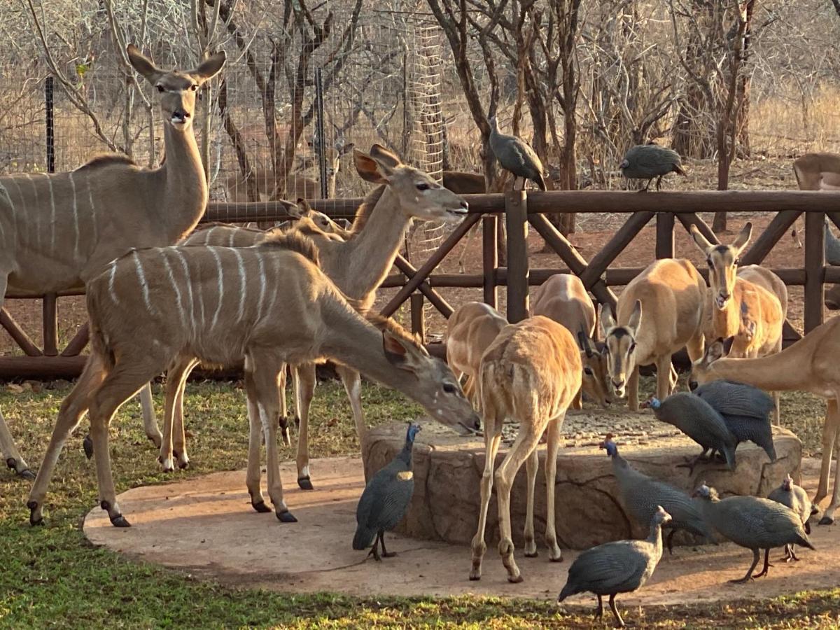 Genet House Holiday Home Marloth Park Luaran gambar